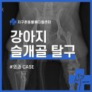 비바동물병원 이미지