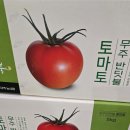 무주 찰토마토 4번과 5박스판매 이미지