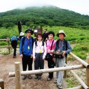 곰배령 꽃길 이미지