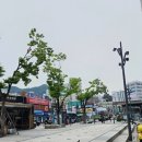 스윗화이트 | 사가정피자추천 노모어피자 사가정점 스윗고구마 화이트씨푸드 포장 후기