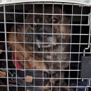 목포교육청 이미지