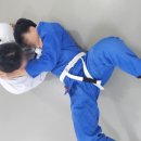 가오리주짓수 네이버블로그