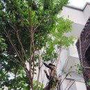 경북대학교 정문 이미지