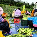 장서경로당 이미지