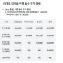 호가빌 | [쓰시마] 대마도배편 예약하기 대마도 여행 준비 니나호, 쓰시마링크호 비교 및 이용 후기