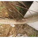 선경자전거 이미지