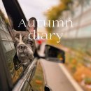 까망베르2호점 이미지