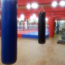 스타복싱클럽 연천 이미지