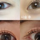 빈즈스튜디오