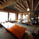 참나무쟁이 이미지