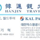 (주)대전닥스항공여행사