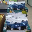 연아청과