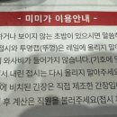 미미가스시