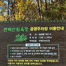 편백산림욕장 진입로 이미지