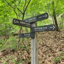 명동호프 - 진도군 남문길 51-3 | 명동호프