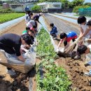 구엄초등학교 이미지