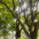 종달4호태양광 | [서울 국립중앙박물관] 국중박 굿즈 털이범들의 사유의 방, 외규장각 의궤 관람 후기 출사 스팟 추천