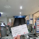 여우와늑대 | 부천 플레이아쿠아리움 네이버 예매 할인부터 관람 후기까지