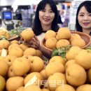 한아름할인마트 이미지