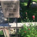 미노리 마을회관 | 2017.09.23.~24.비어캠핑 무비나잇(강원도 강릉시 성산면 성산초등학교_