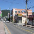 백석5리 Daum카페