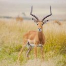 복수목장 이미지