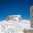태백 이미지