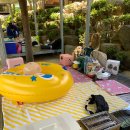 반석민박 이미지