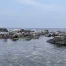 바다담스파풀빌라 이미지