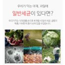 야채과일 이미지