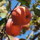 하나로농장 이미지