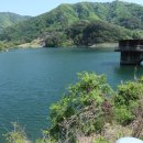 원주굽이길 원11코스 다둔인벌길 이미지