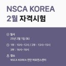NSCA 스포츠 영양 코치 취득 후기와 꿀팁