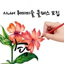 다담시니어
