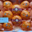 건강해진팜 이미지