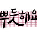 유폴24시 애견셀프목욕 이미지
