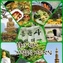 송도나들이코스 흥륜사쉼터 SNS핫플 동영상 생생후기, 야외 파라솔에서 즐긴 사찰음식맛집