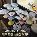 여 | [제주] 고양이가 가득한 볼거리 천국 🐈🫧 제주 조천 소품샵 여저니 내돈내산 후기