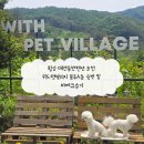 위드펫빌리지