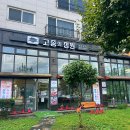 돈키오돈가스&함박 | 물왕저수지맛집 고종의정원 함박스테이크 돈가스 후기