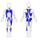 디자인휘트니스 | 호텔식 프리미엄 휘트니스 센터 더블에잇휘트니스 덕이점 민기쌤 PT 후기