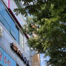 법무사 백강현 사무소 이미지