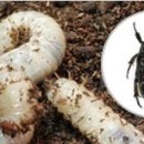 금창농장 이미지