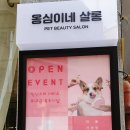 옹심이네살롱 이미지