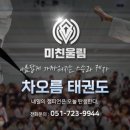 기장 차오름태권도 이미지