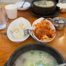 양고바우설렁탕 | 신길동 신풍역 양고바우설렁탕