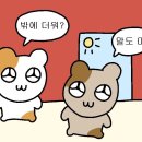 딩굴댕굴 이미지