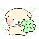 탄백 이미지