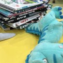 별똥별어린이도서관 | 공룡책 소전집 | 쿵쿵별다이노 소전집 가격, 구성, 장점, 단점, 언제부터