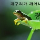 골든파인트리 이미지